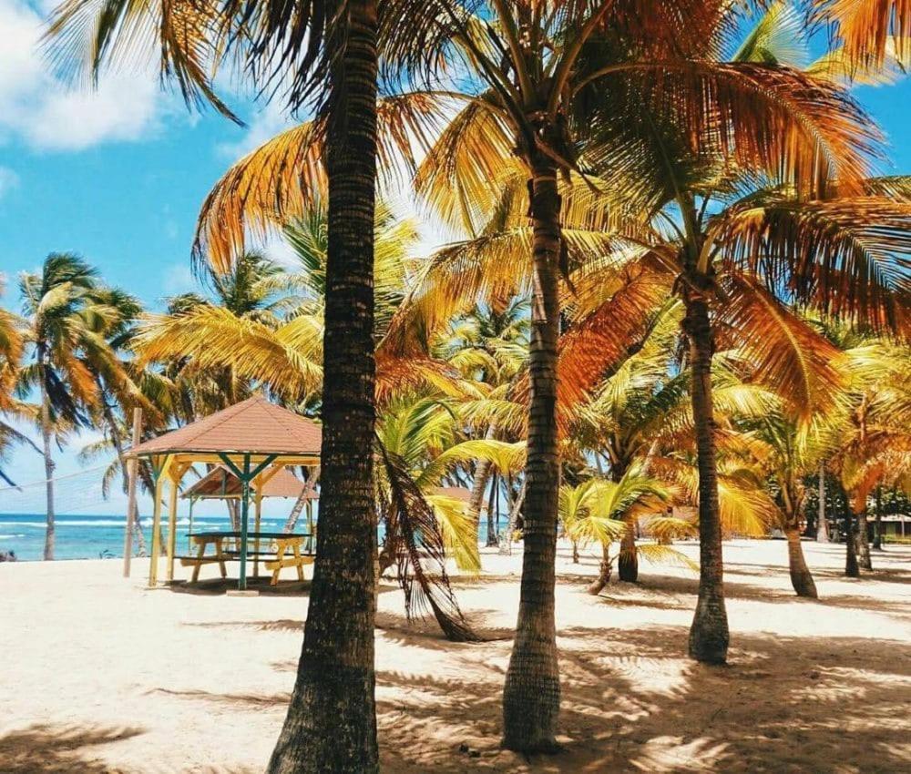 Caribbean'zen Villa Petit-Bourg