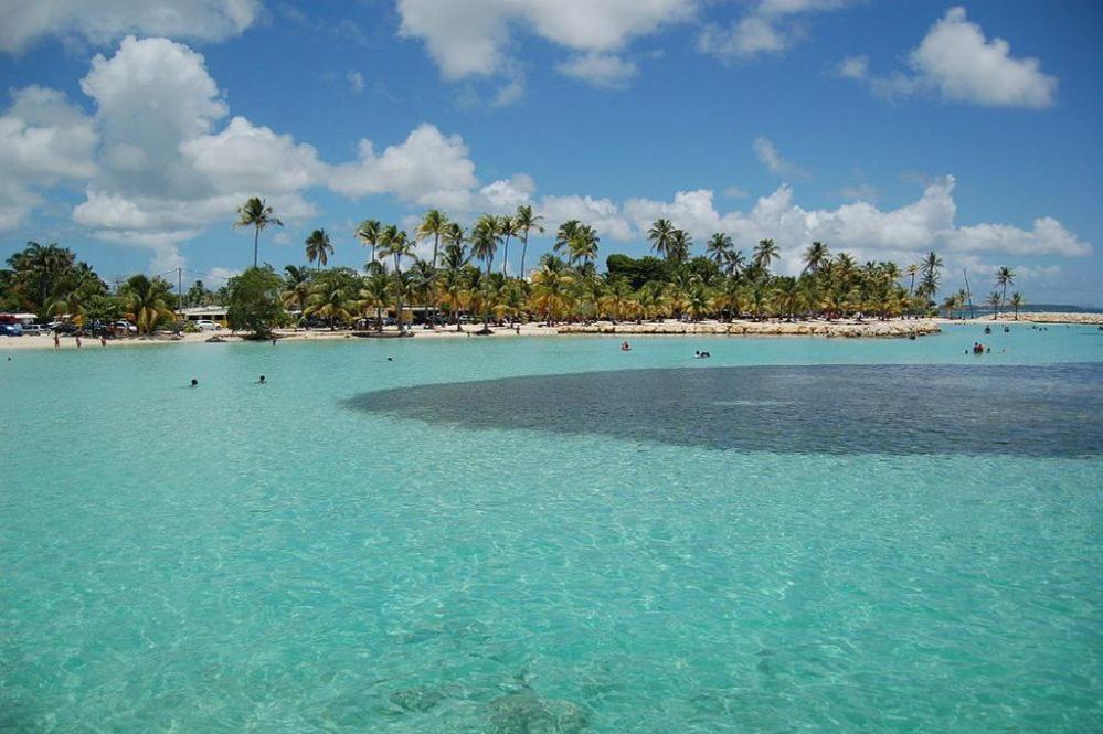 Caribbean'zen